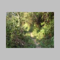 031-The tiny pathway.JPG